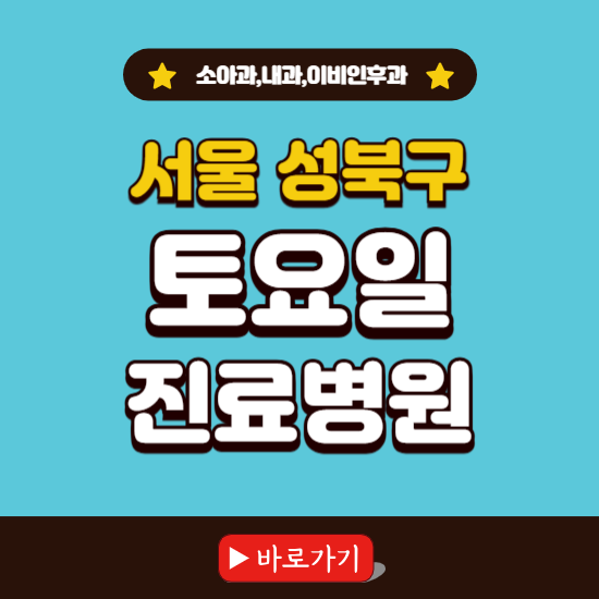 서울 성북구 토요일 진료 병원 찾기 ❘ 주말 문여는 소아과, 내과, 이비인후과 리스트