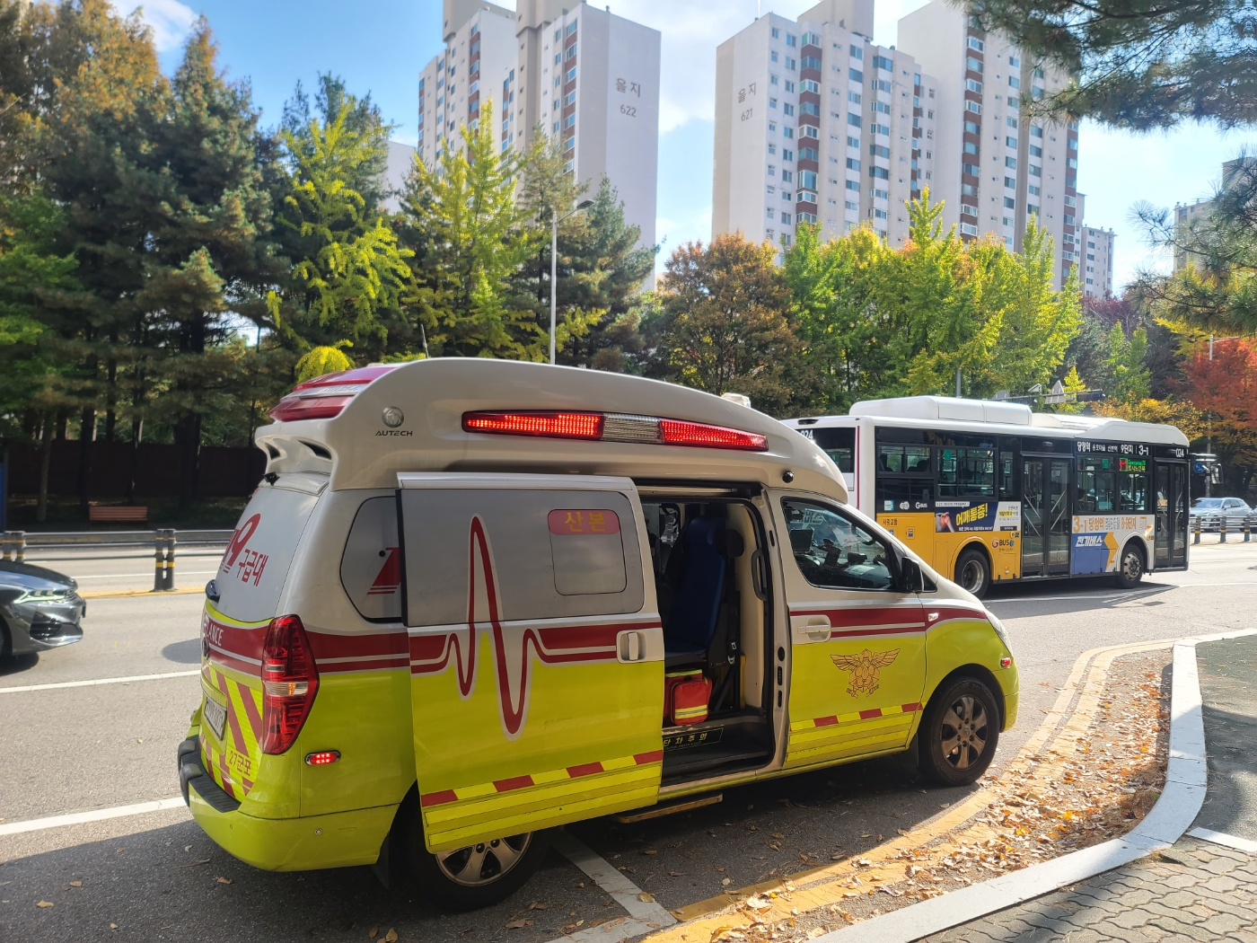 응급처치를 하러 온 119 앰블란스