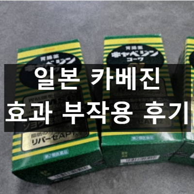 일본 카베진