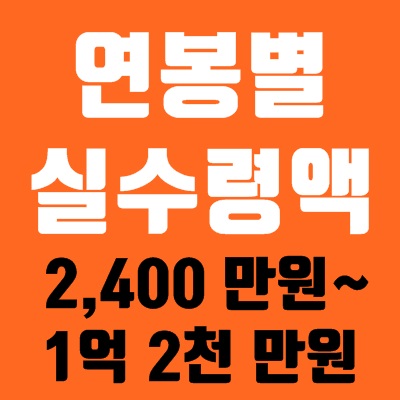 2020 연봉 실수령액