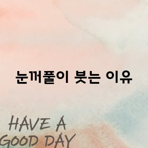 눈꺼풀이 붓는 이유