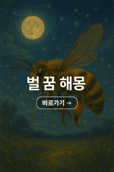 벌꿈