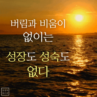 버림과 기다림을 통한 성장과 성숙에 대한 명언 이미지