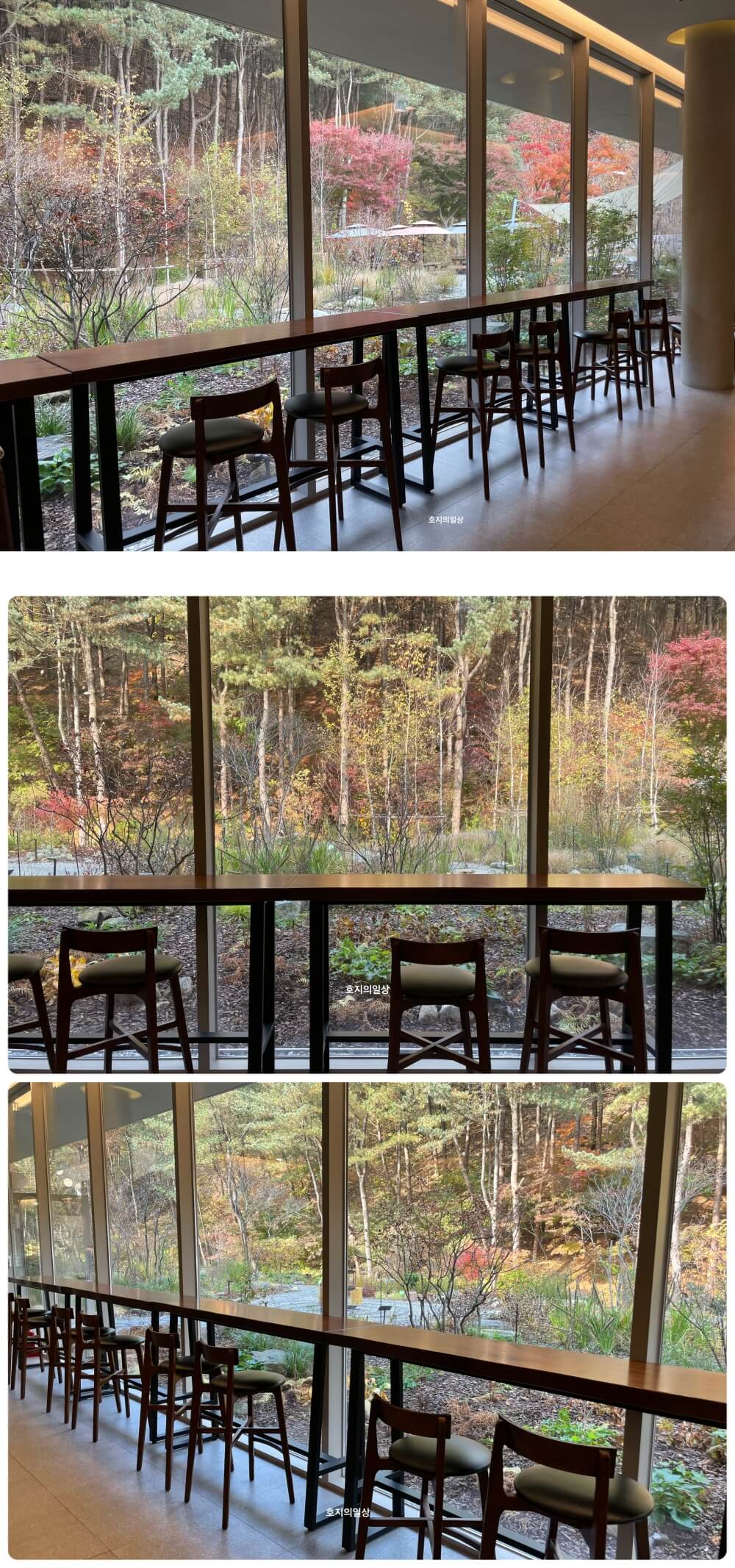 화성 동탄 대형 브런치 카페인 중리 - 매장 창가 좌석