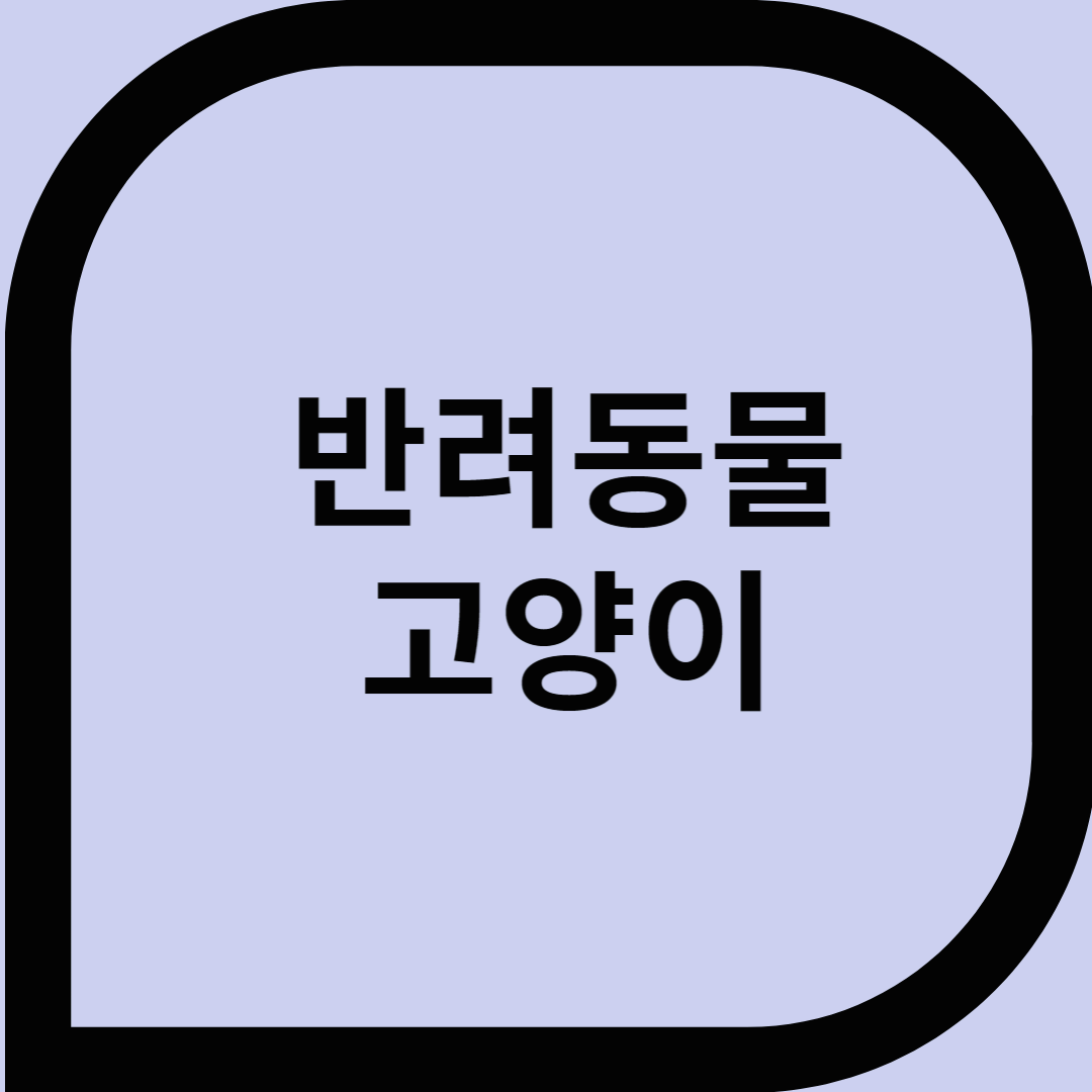 반려동물 고양이