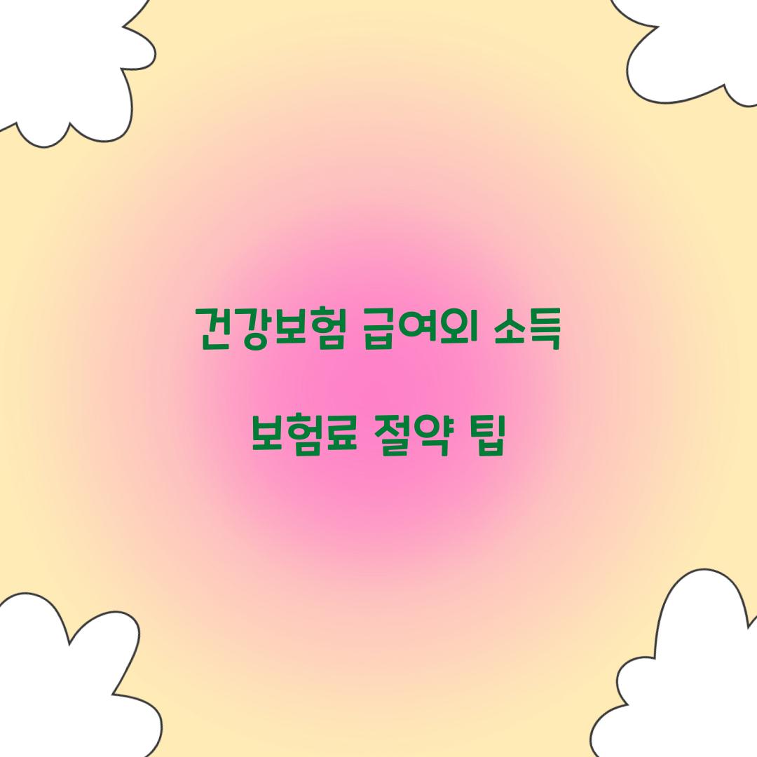 건강보험 급여외 소득 보험료