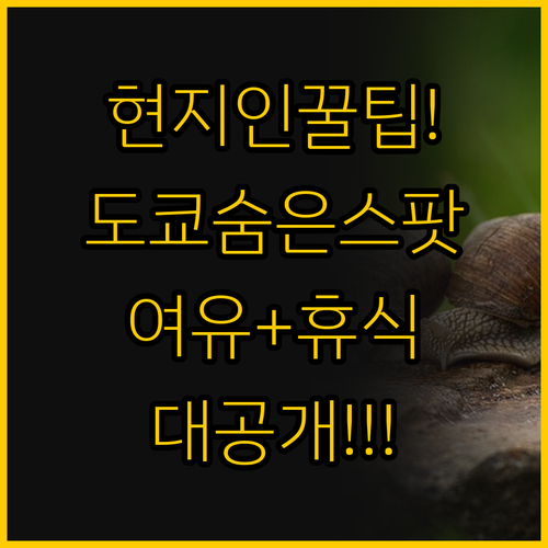 현지인도 인정한 도쿄 히든 스팟 여행..