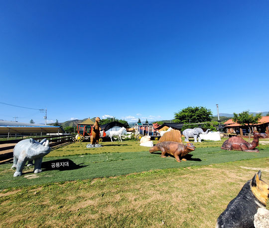 강릉쌍둥이동물농장 아이와 체험 가능한 가족 여행지