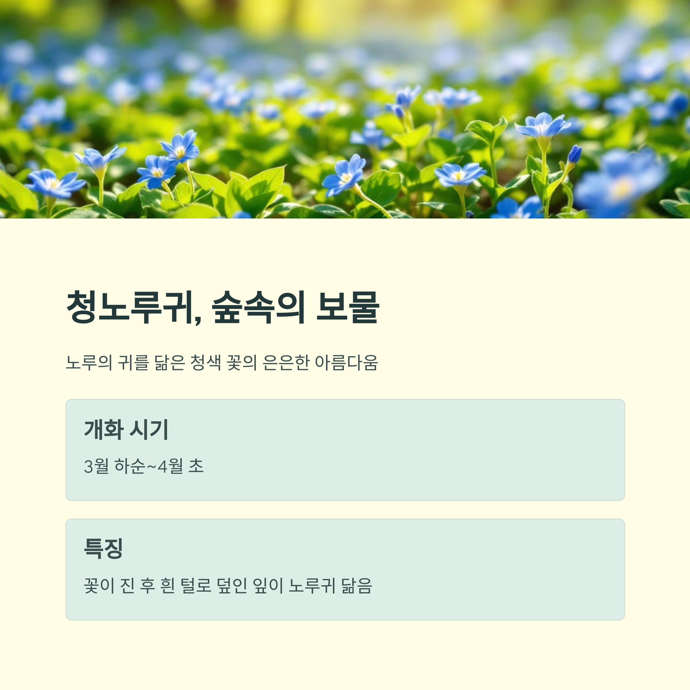 인천대공원 봄나들이