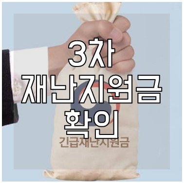 3차 재난지원금 대상