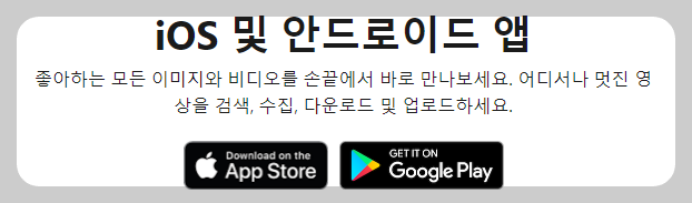 펙셀스 무료 이미지