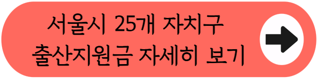 "강남에서 애 낳으면 첫달에만 790만원?" 2026 강남구 출산양육지원금 총정리