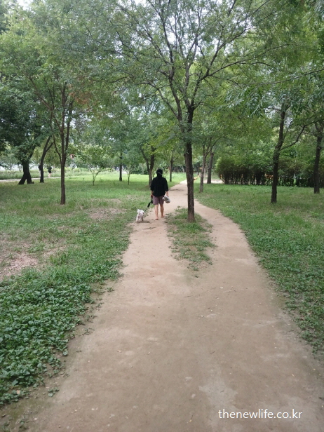 광나루 한강공원의 서울 맨발 걷기 좋은 흙길에서 반려견과 함께 맨발 걷기 하는 여성