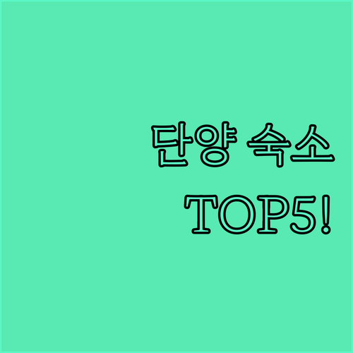 단양 숙소 추천 TOP 5 위치 장점..