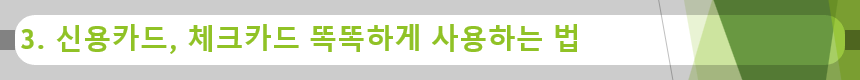 3. 신용카드, 체크카드 똑똑하게 사용하는 법