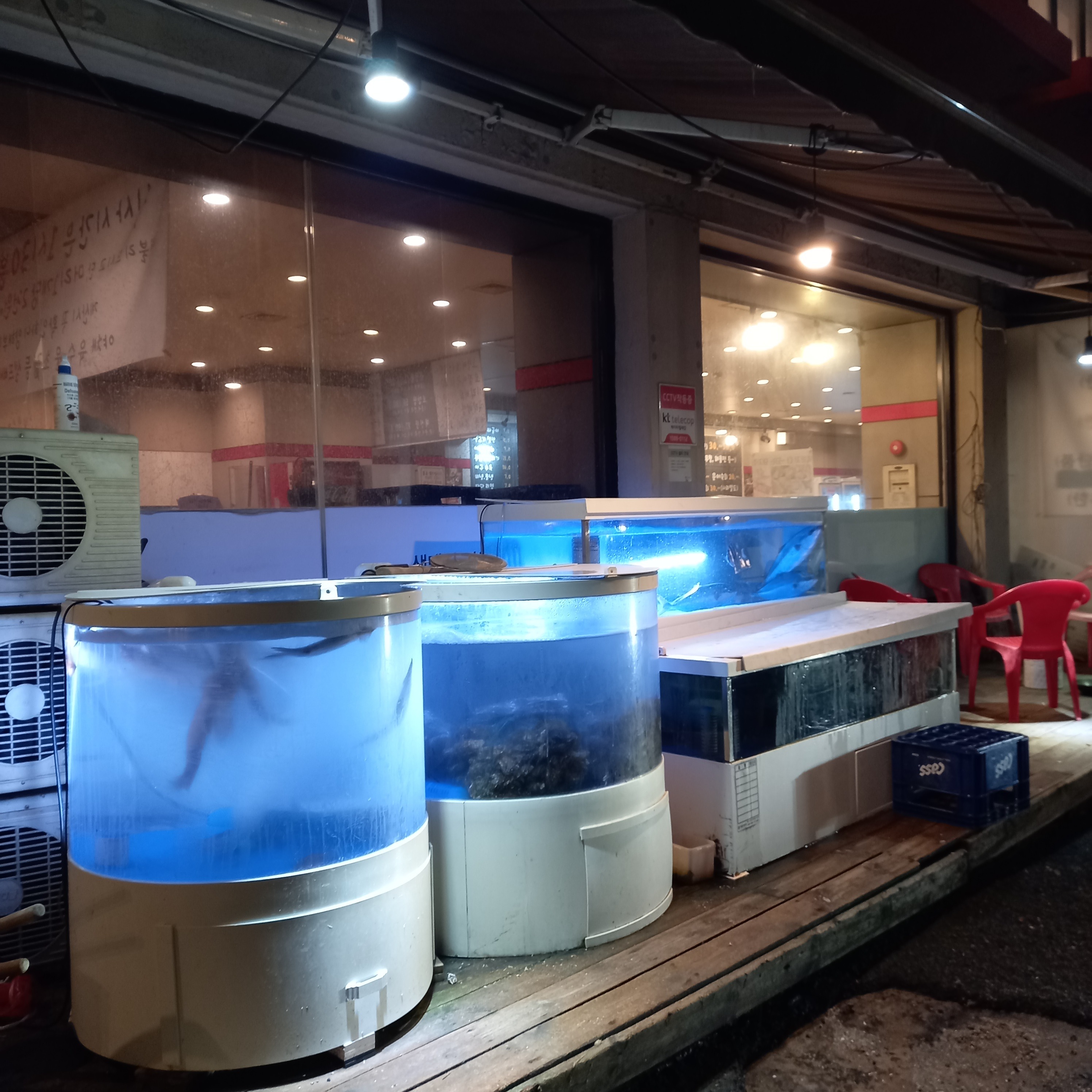 돼지집_외부_수조