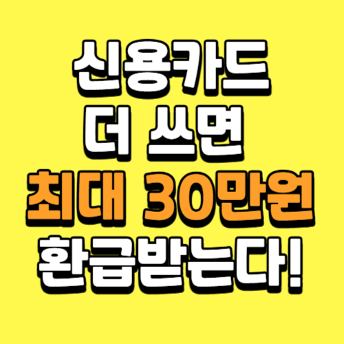 신용카드 더 쓰면 최대 30만원 환급받는다!