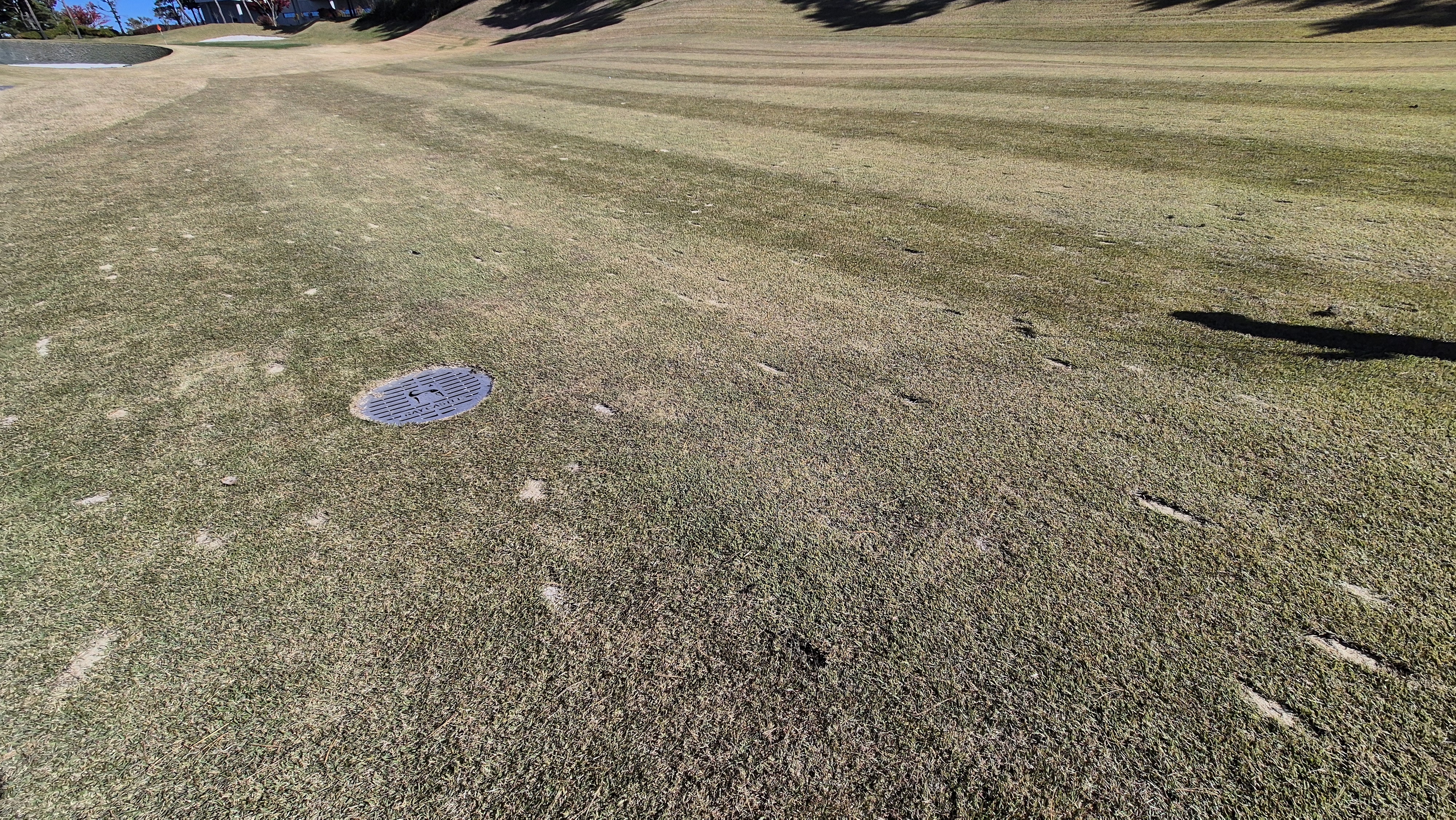 레이캐슬cc 코스 관리 상태