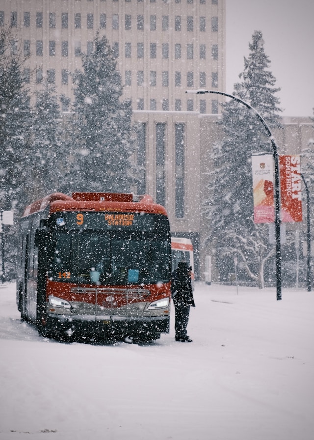 대설주의보 대설경보 차이 기준과 필수 대처법