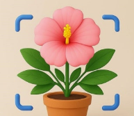 약초인식-카메라앱-로고사진2