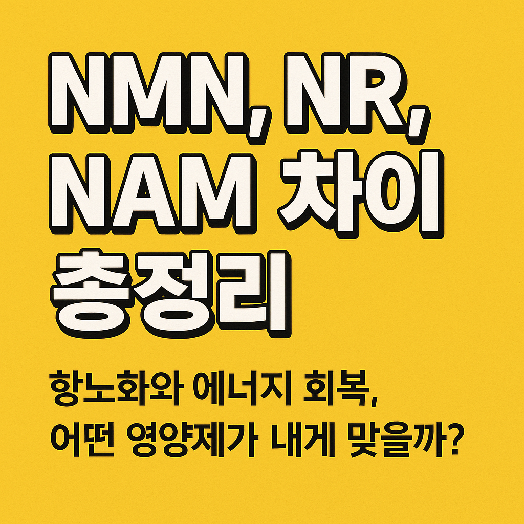 NMN, NR, NAM 차이 총정리: 항노화와 에너지 회복, 어떤 영양제가 내게 맞을까?