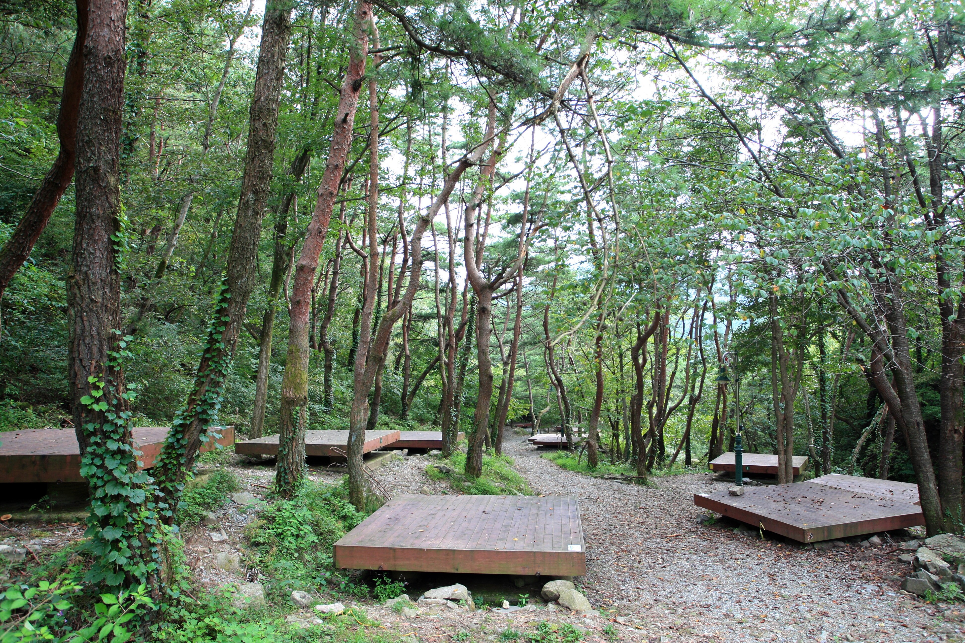 오도산 치유의 숲