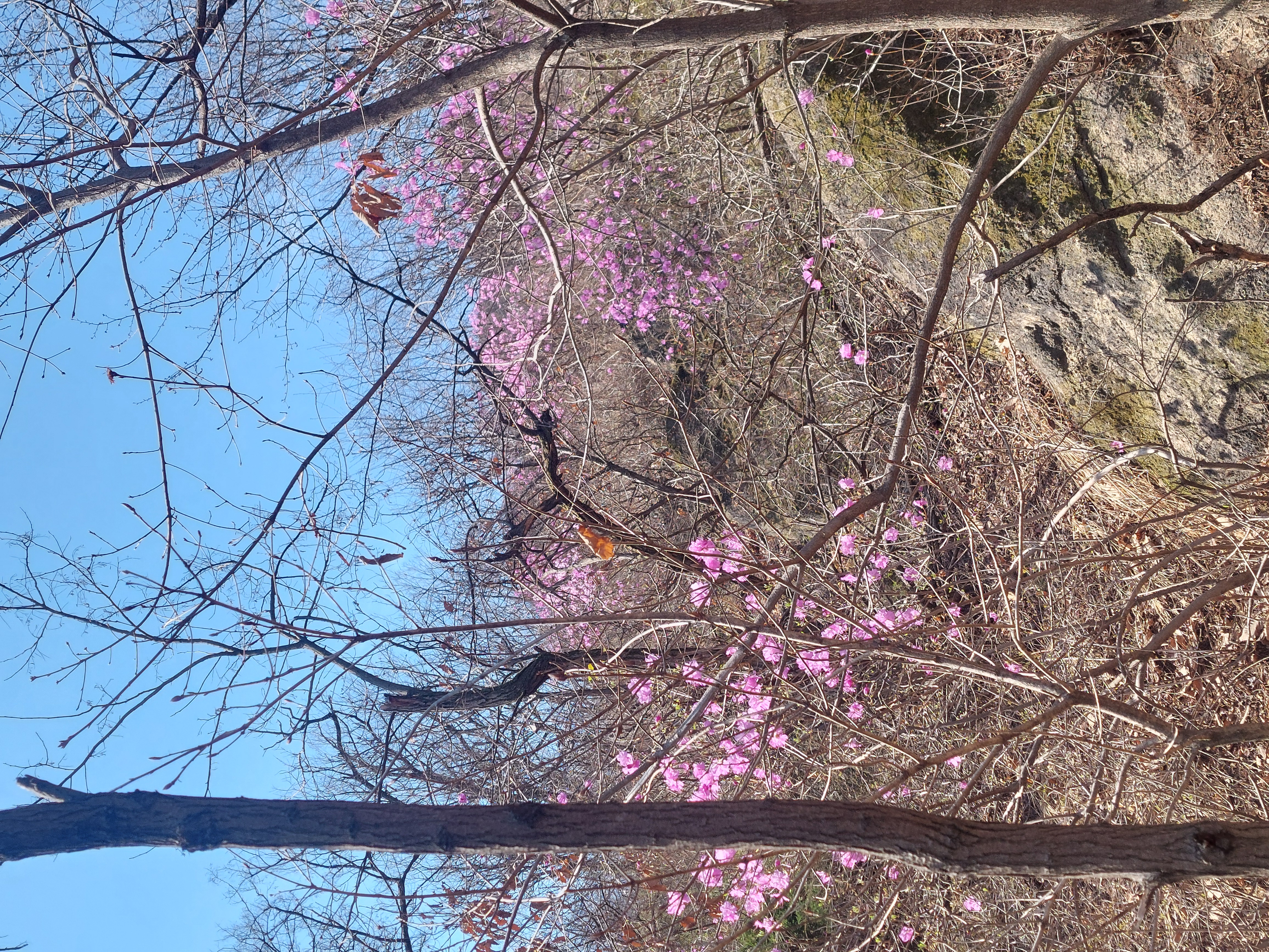 안산