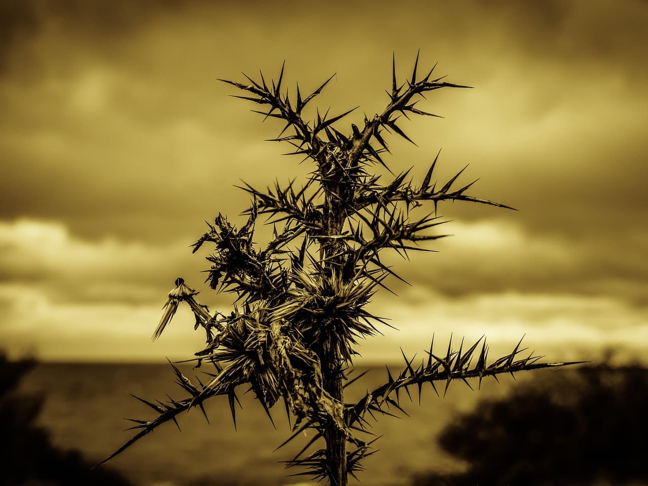 고지혈증과 동맥경화, 어떤 관계일까?