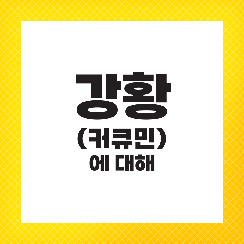 강황가루 효능 먹는법 영양제 추천 주의사항