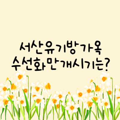 이미지썸네일