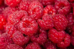 동의보감으로 보는 아이 뼈 튼튼하게 키우는 법! &lsquo;신기(腎氣)&rsquo;로 보는 뼈 건강 관리