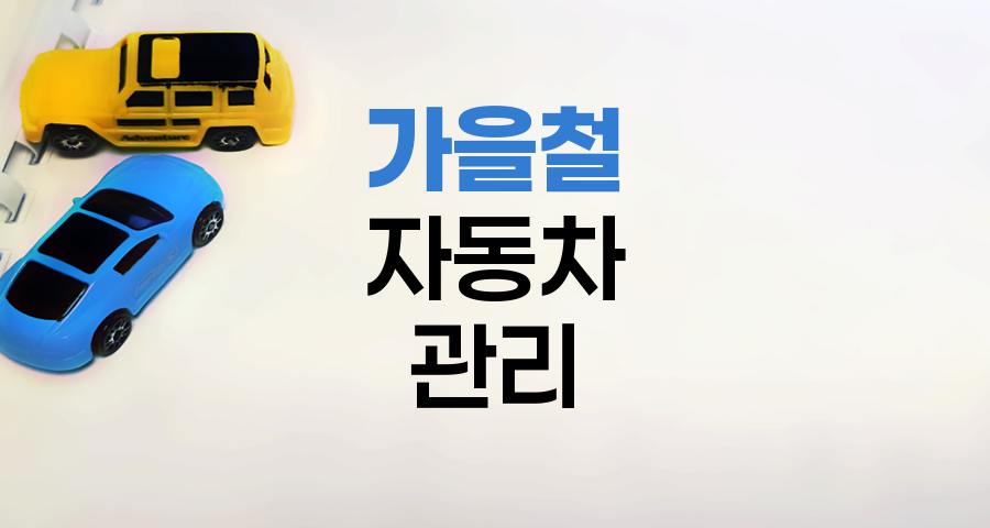 가을철 자동차 관리 핵심 포인트