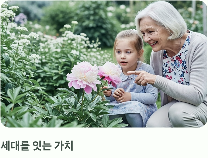 한번의 투자로, 100년의 아름다움