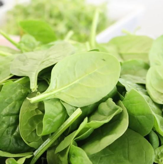 손목터널증후군에 좋은 음식 10가지