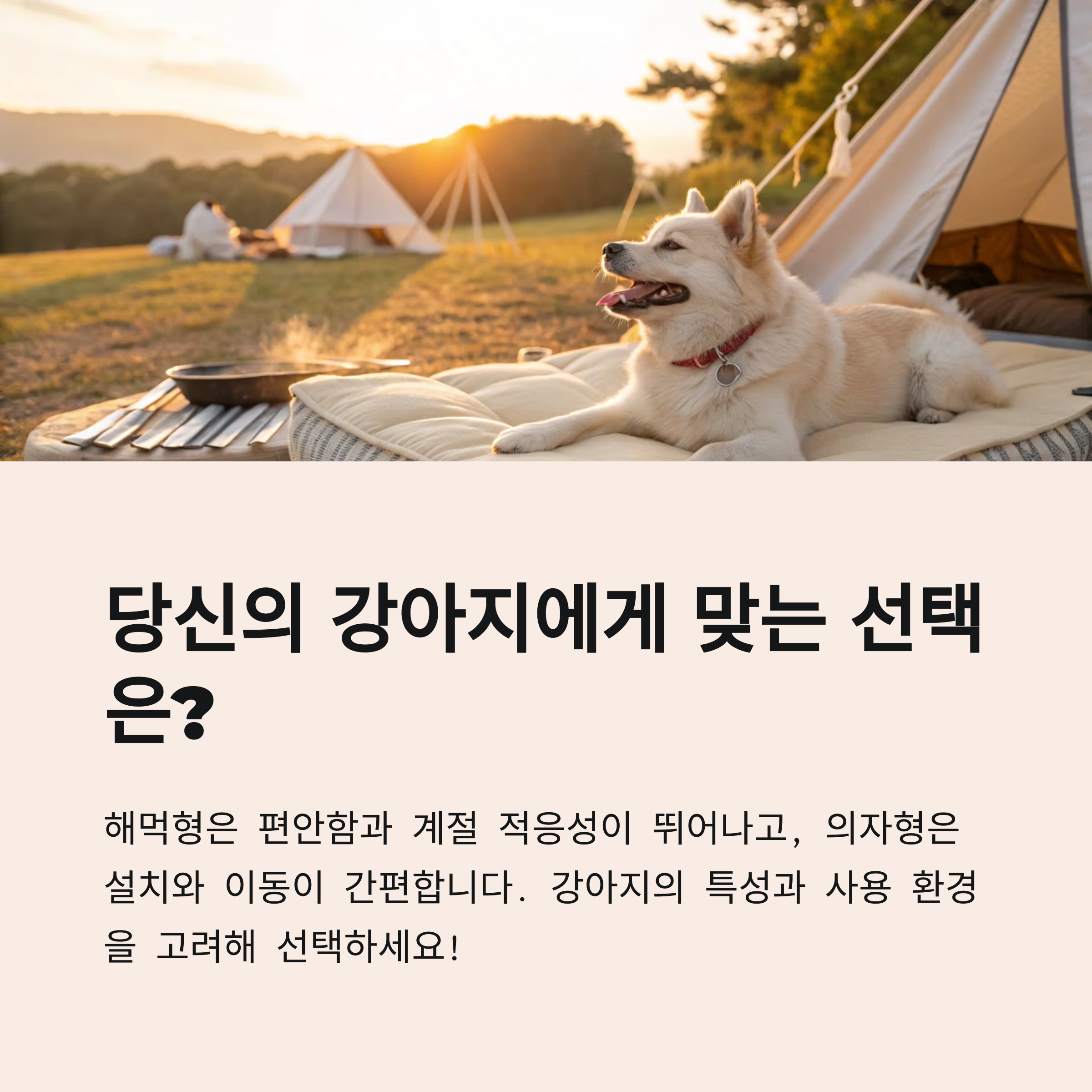 당신의 강아지에게 맞는 선택은?