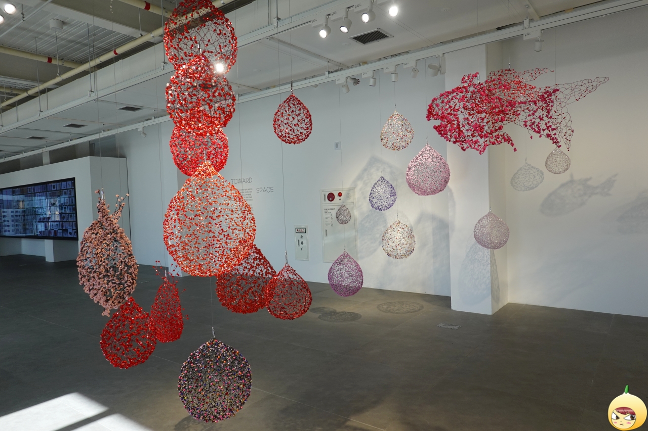 물방울과 물고기