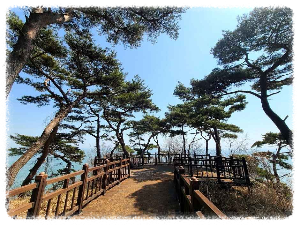국화도