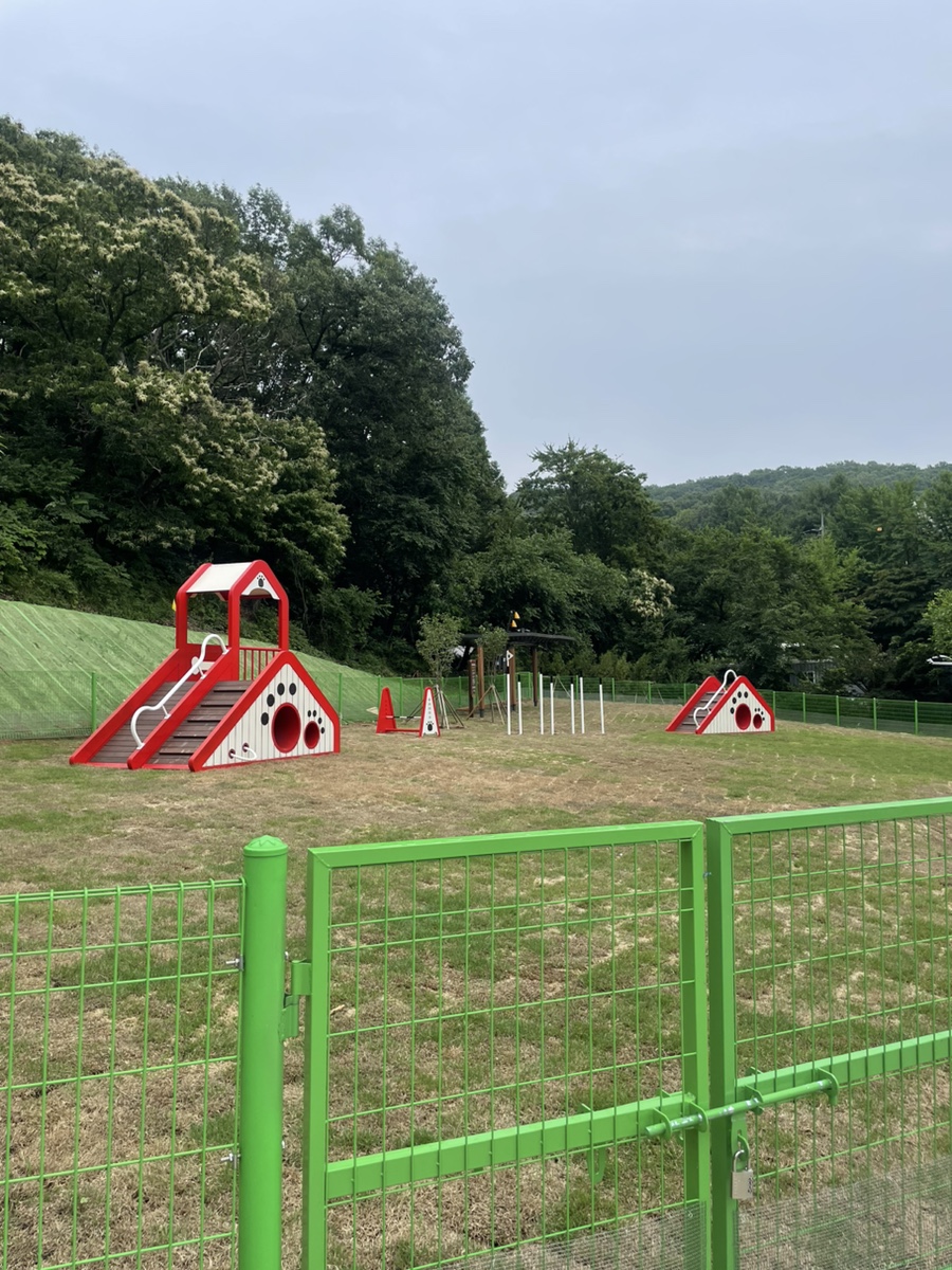 ▲ 아이들과 반려견 모두가 즐거운 시간을 보낼 수 있는 공간.