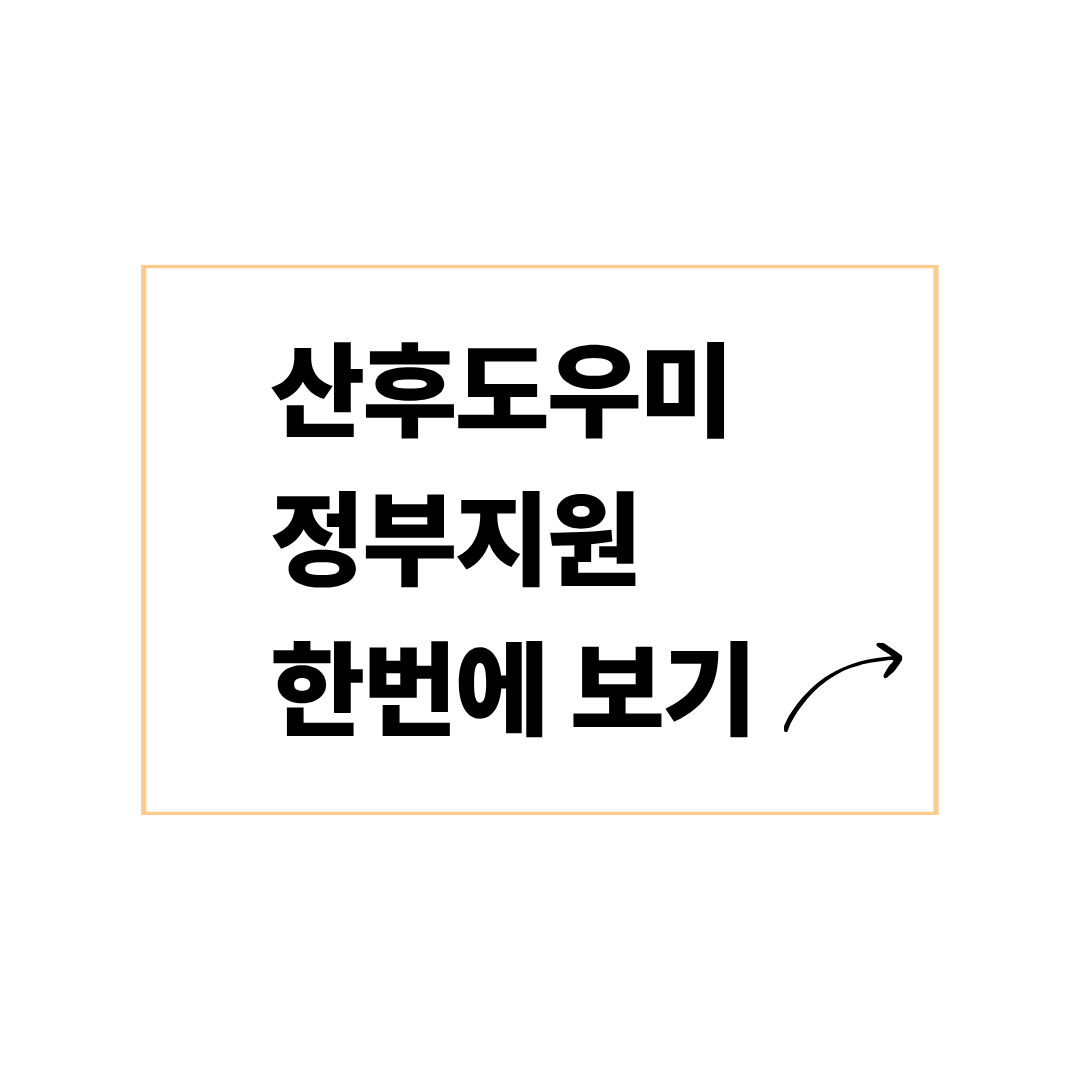 산후도우미 정부지원