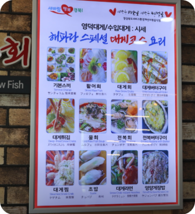 생방송 투데이 키워드다큐 성공인 박달대게 영덕 강구항 맛집