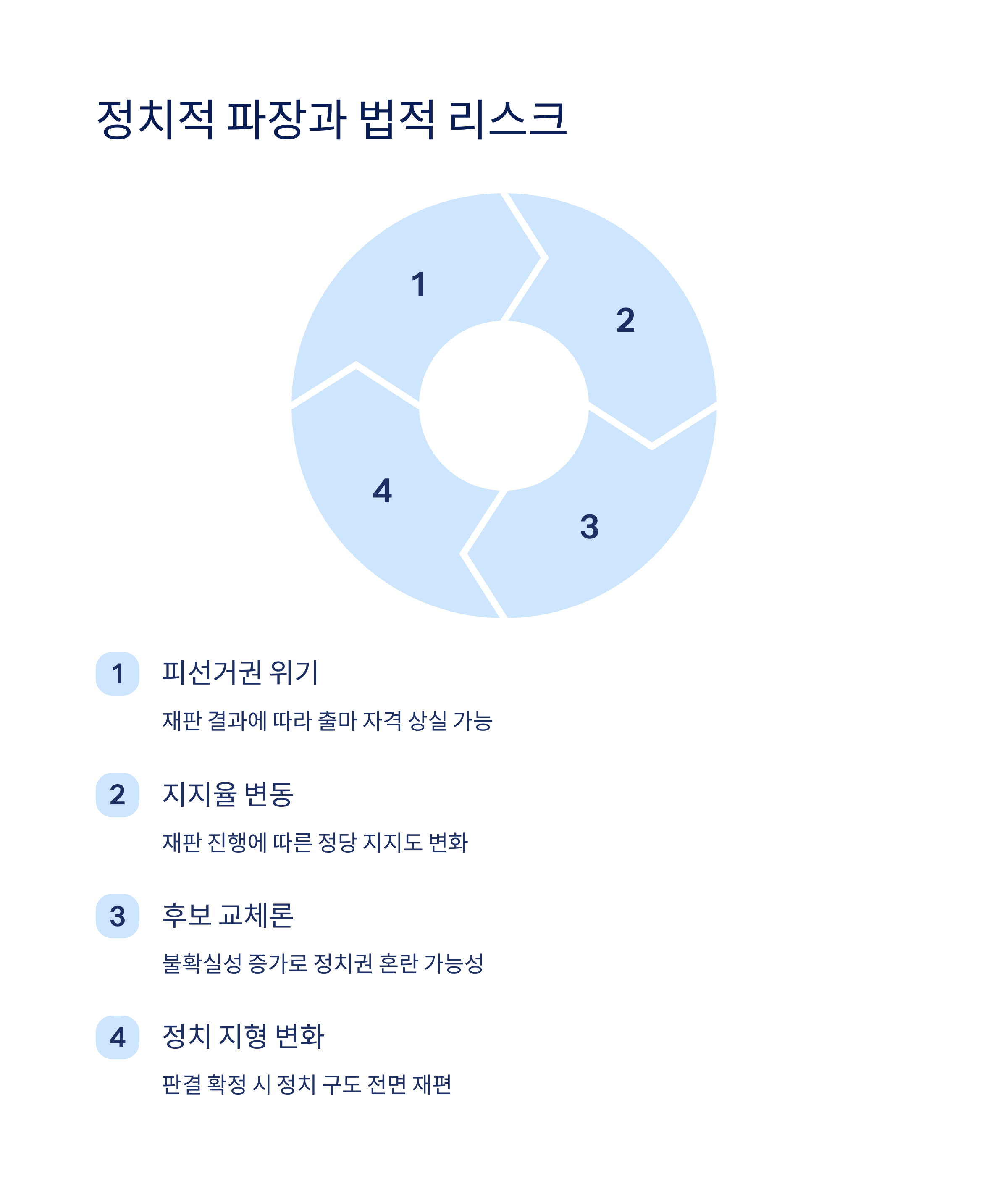 법적 리스크와 정치적 파장