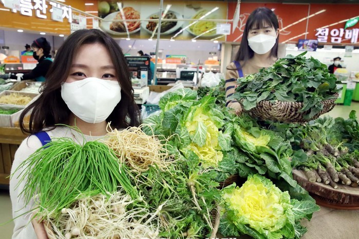 봄나물 종류와 사진