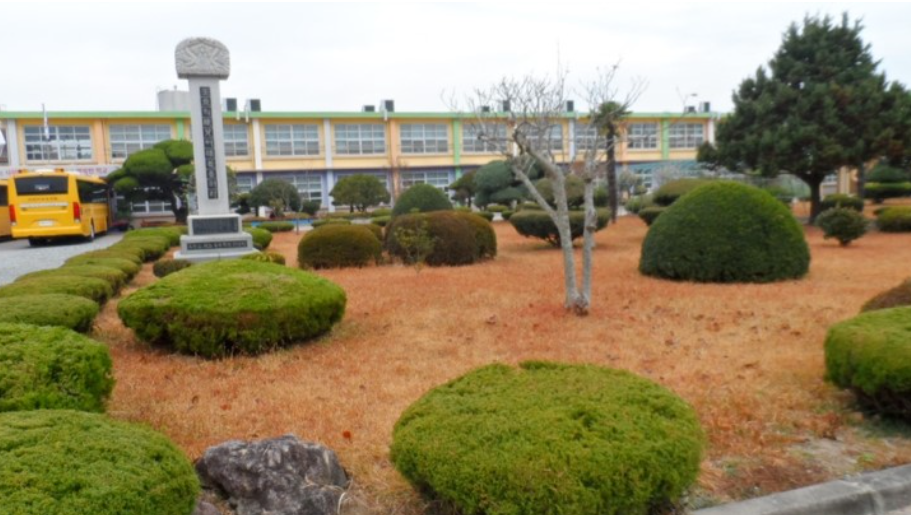 충북 옥천 초등학교, 초등학생 집단 괴롭힘