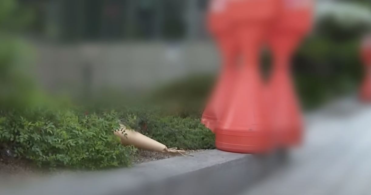 강남 여고생 투신