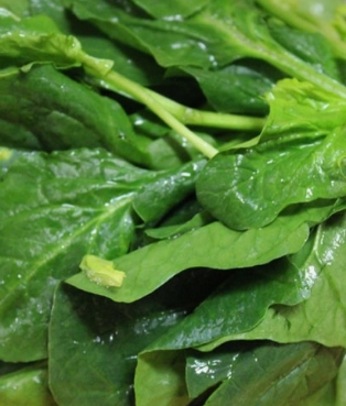 근대 효능과 부작용 나물 먹는법 고르는법 칼로리