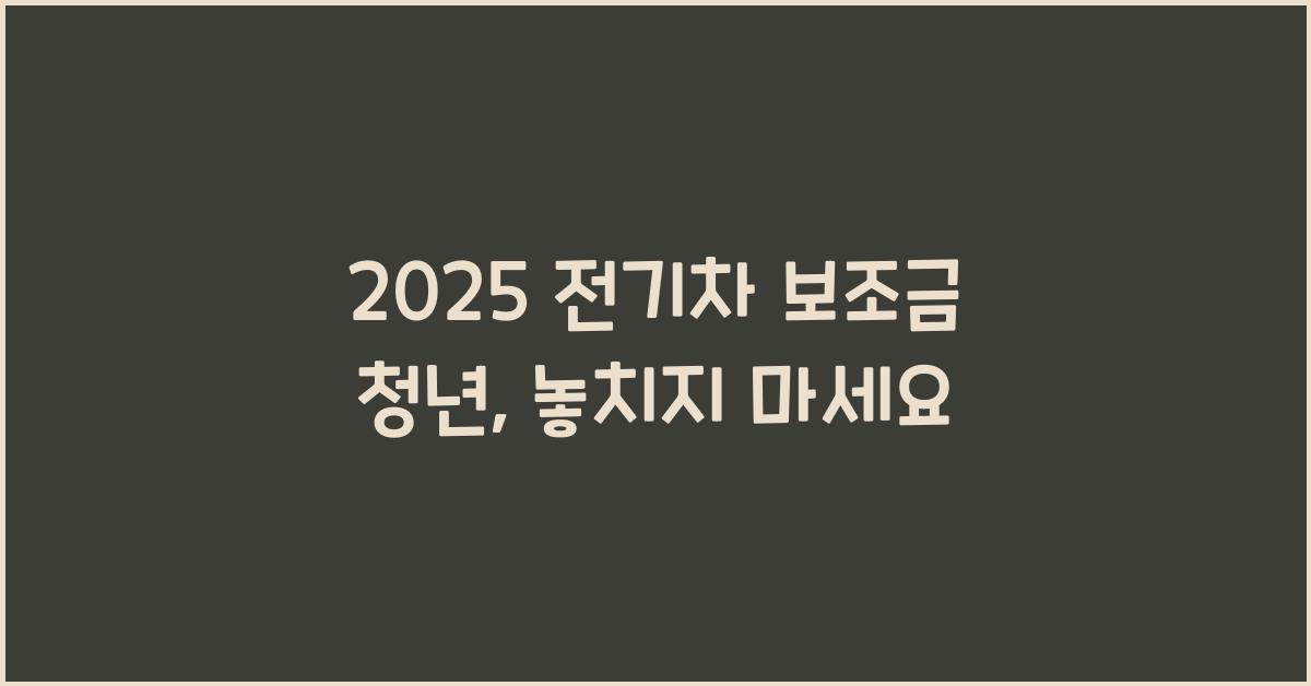 2025 전기차 보조금 청년