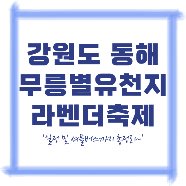2026 동해 무릉별유천지 라벤더축제 입장료 주차 정보 및 셔틀버스 시간표 정리
