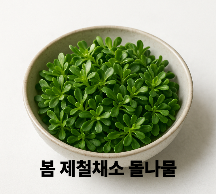 항산화작용 활성산소제거 세포노화예방 돌나물 효능 영양성분 보관법