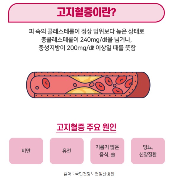 고지혈증이란 무엇인지 설명
