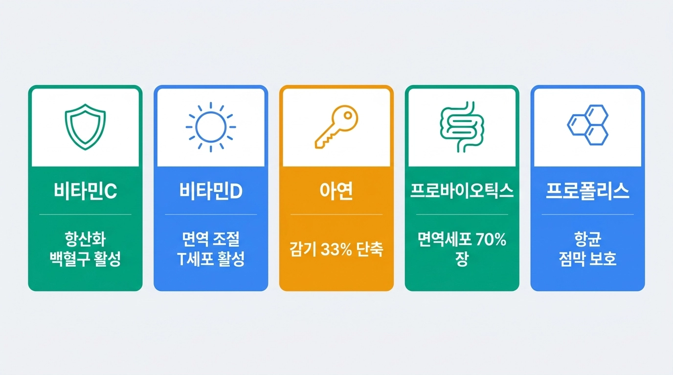 면역력 영양제 비타민C 비타민D 아연 프로바이오틱스 프로폴리스 효능 비교 인포그래픽